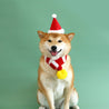 Ensemble de Jeux de Noël pour Chien avec Bonnet, Écharpe et Jouet - giftlovecanada