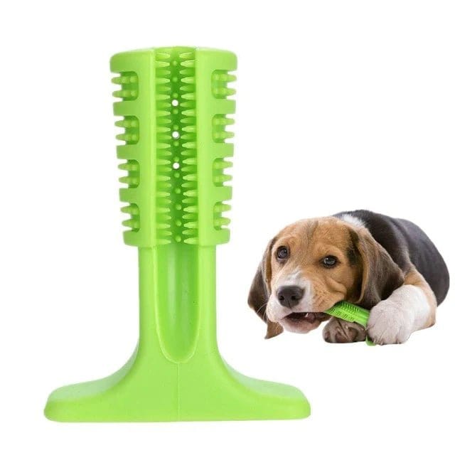 GIFTLOVECANADA - Brosse à dents pour chien - giftlovecanada