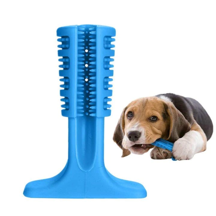 GIFTLOVECANADA - Brosse à dents pour chien - giftlovecanada