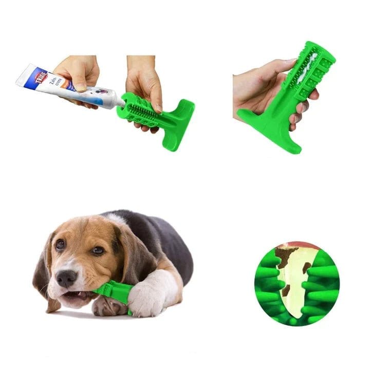 GIFTLOVECANADA - Brosse à dents pour chien - giftlovecanada